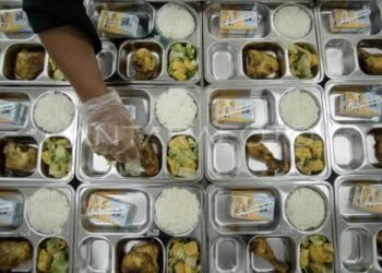 Instruksikan peternakan sapi buat memenuhi susu MBG