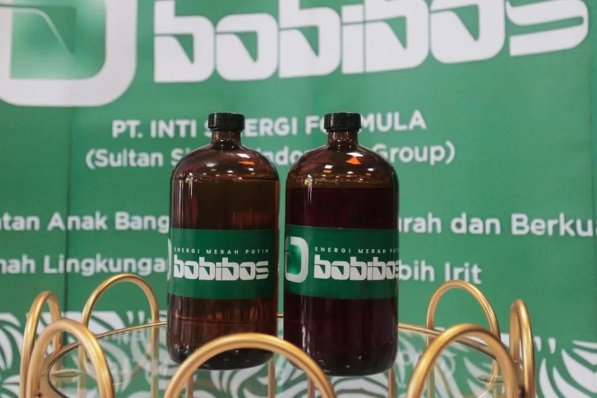 Bobibos
