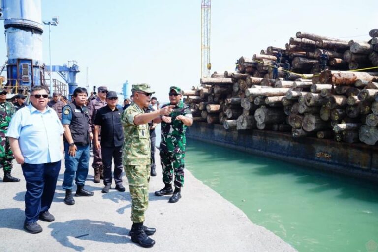 TNI Ikut Dalami Kasus Perusakan Hutan Penyebab Banjir Sumatra. Ini Wewenangnya!