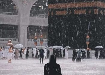 Musim dingin arab saudi