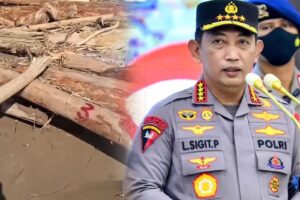 Penemuan kayu bernomor di banjir Sumatra