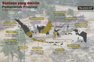 Daftar 11 Pemda Yang Bantu Bencana di Sumatra