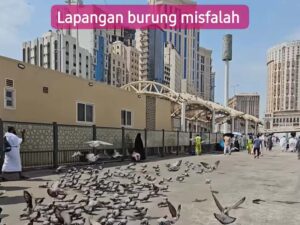 Lapangan burung Misfalah