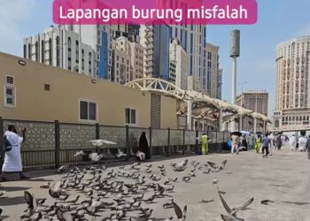 Lapangan burung Misfalah