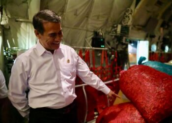 Menteri Pertanian beli 40 ton cabai petani Aceh