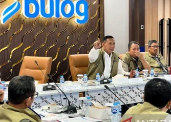 Ahmad Rizal Ramdhan ungkapkan terkait rencana ekspor beras