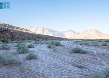 cuaca dingin arab saudi