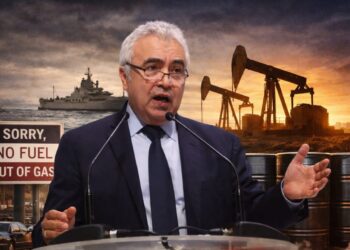 Kepala IEA Peringatkan Krisis Energi Terparah Dekade Ini