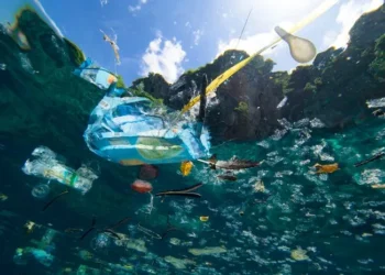 mikroplastik di laut dalam Indonesi