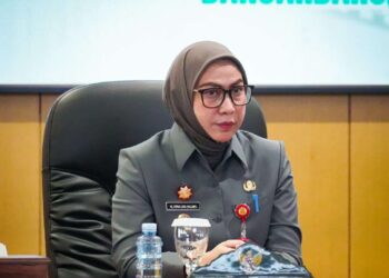 Wali Kota Banjarbaru Erna Lisa Halaby