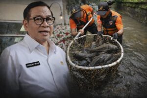 Gubernur DKI Jakarta Instruksikan Pembasmian Ikan Sapu-Sapu