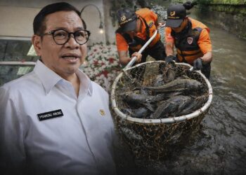 Gubernur DKI Jakarta Instruksikan Pembasmian Ikan Sapu-Sapu