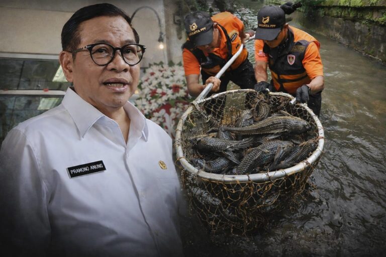 Dianggap Mengancam, Gubernur DKI Jakarta Instruksikan Pembasmian Ikan Sapu-Sapu