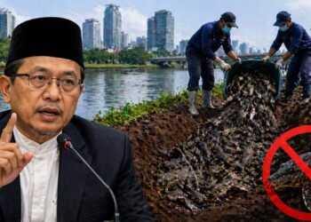 MUI komentari cara pembasmian ikan sapu-sapu di DKI Jakarta
