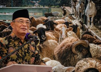 Muhammadiyah Dorong Penyembelihan Dam Haji di Indonesia