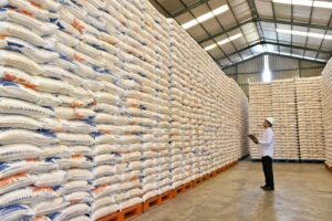 BULOG Catat Cadangan Pangan Pemerintah Tembus 5 Juta Ton Beras