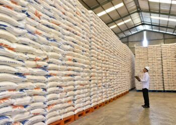 BULOG Catat Cadangan Pangan Pemerintah Tembus 5 Juta Ton Beras