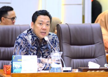 Wakil Ketua Komisi IX DPR RI, Charles Honoris