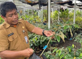 Kepala BBPTH terangkan pengembangan benih unggul berbasis tanaman endemik daerah