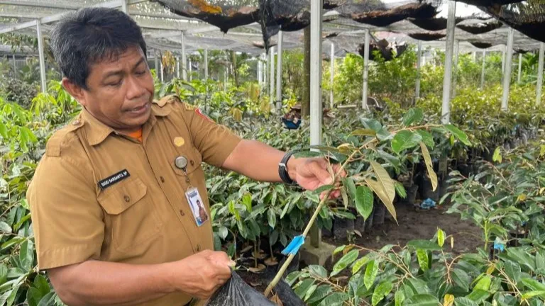Kepala BBPTH terangkan pengembangan benih unggul berbasis tanaman endemik daerah