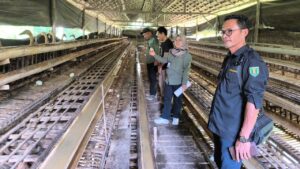Pemrpov Kalsel datangi pengembangan peternakan itik