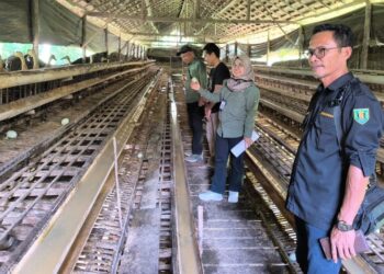 Pemrpov Kalsel datangi pengembangan peternakan itik