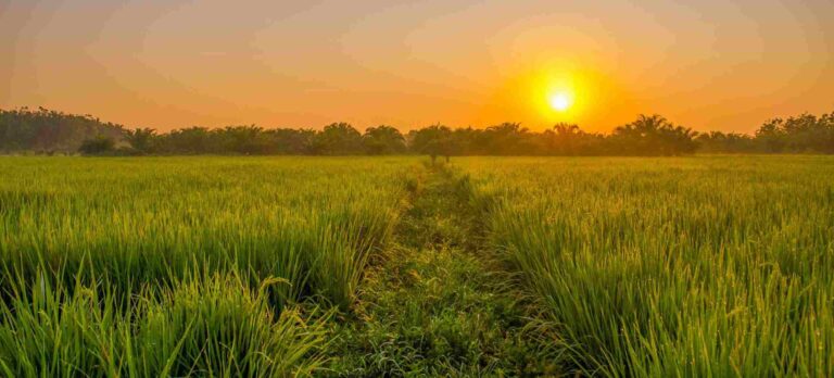 Dzikir Pagi – al Matsurat