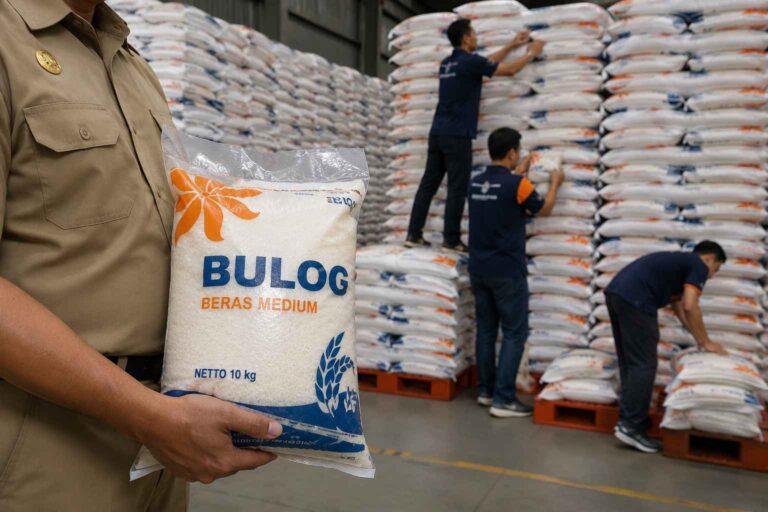Perum Bulog Wacanakan Tunjangan ASN Berupa Beras, Apa Alasannya?