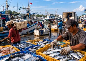 Pasokan ikan di Banjarmasin dipastikan aman meskipun cuaca ekstrim