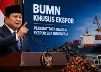 Presiden Prabowo rencanakan bentuk BUMN ekspor