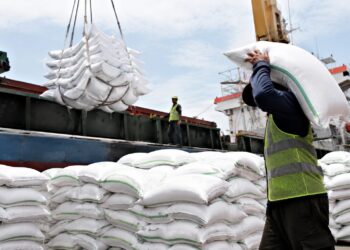 Malaysia Ajukan Impor 500 Ribu Ton Beras RI