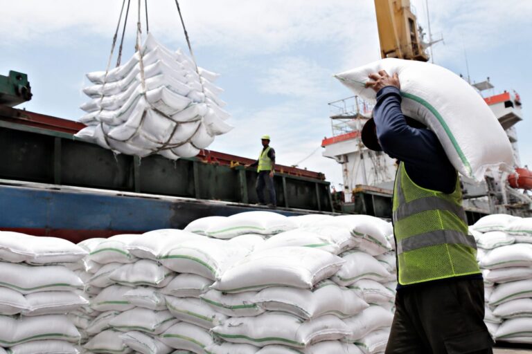 Malaysia Ajukan Impor 500 Ribu Ton Beras RI, Segini Harga yang Ditawar!