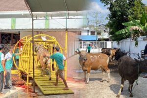 Penyelenggaraan penyembelihan hewan kurban di Masjid Al Jihad Banjarmasin, Kamis [28/5]