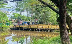 Jembatan Jafri Zamzam