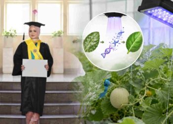 Mahasiswa UGM teliti UVB