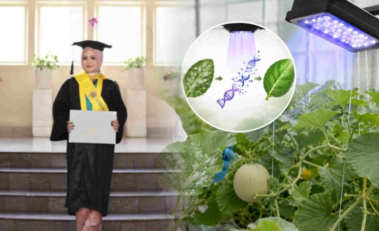 Teliti Solusi Ramah Lingkungan untuk Petani Melon, Mahasiswa UGM Lulus dengan IPK 4,00