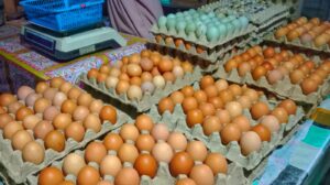 Harga Telur Anjlok