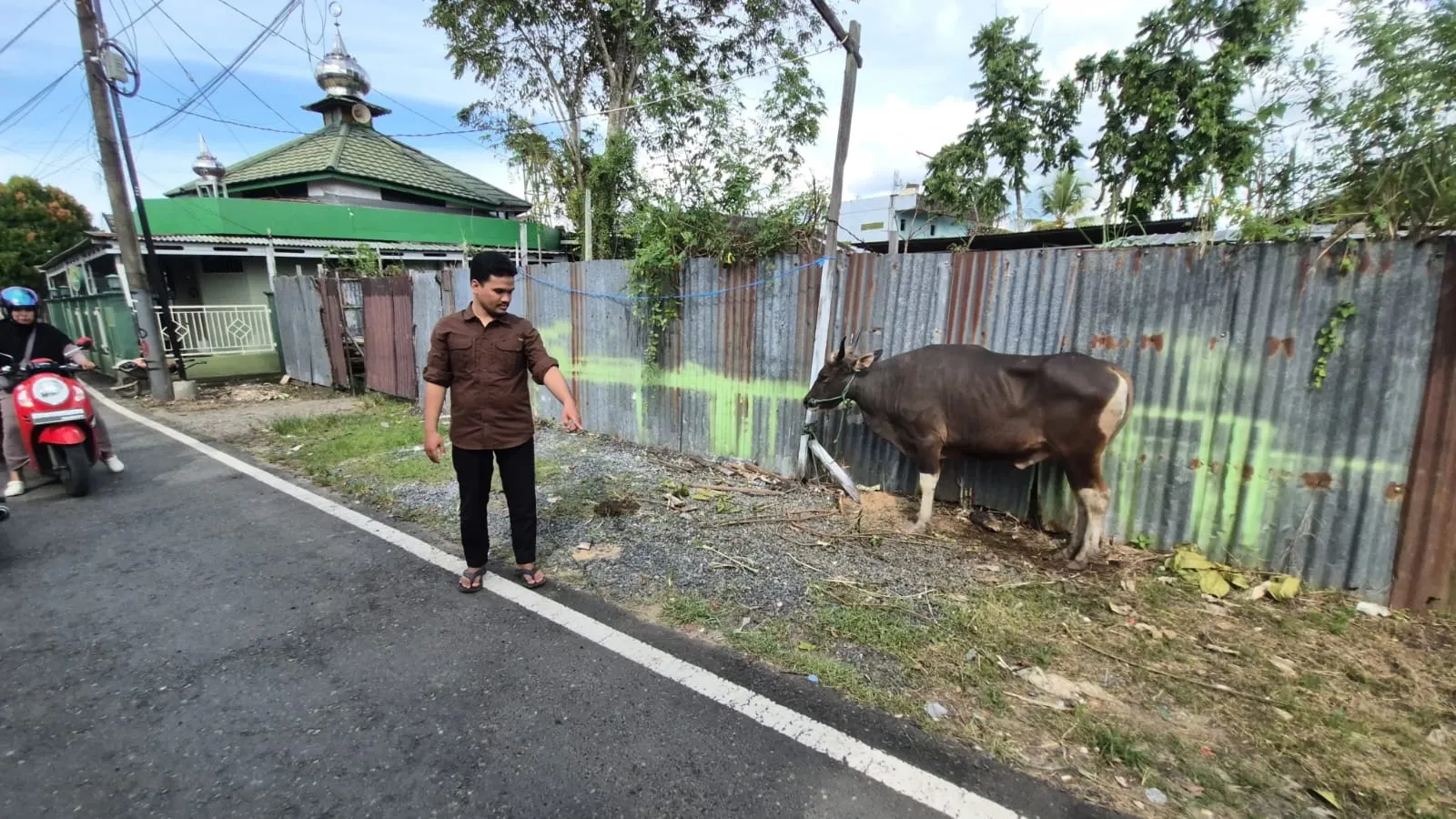 Lokasi tempat sapi qurban lepas