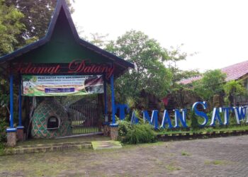 Pemko Banjarmasin Siapkan Penambahan Satwa Taman Satwa Jahri Saleh