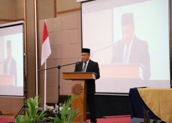 Rektor UMPR