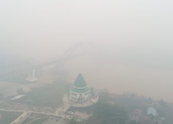 Kalteng Diselimuti Asap Karhutla