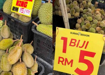 Durian Malaysia Melimpah, Harga Anjlok