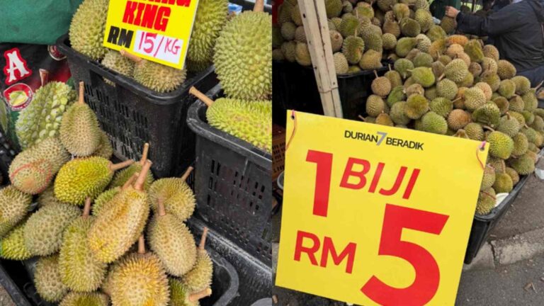 Durian Melimpah, Harga Anjlok! Malaysia Bahas Peningkatan Ekspor dengan China