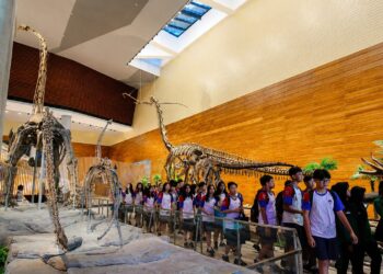 Pameran fosil dinosaurus asli di Tahir Solo Museum