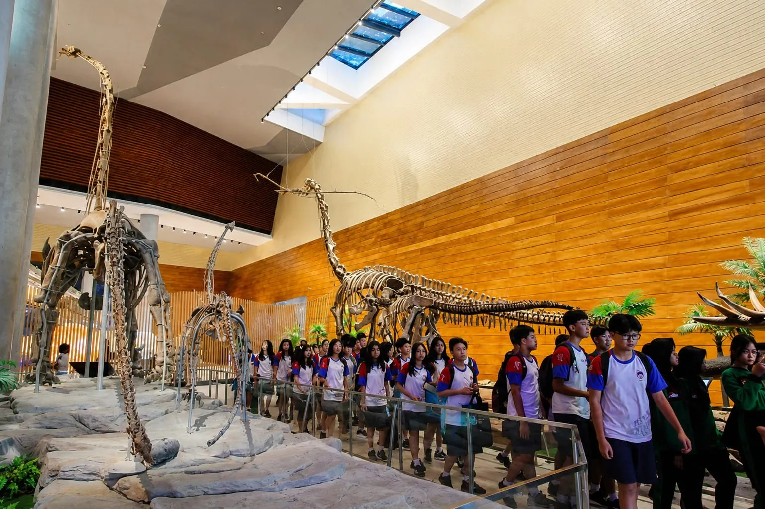 Pameran fosil dinosaurus asli di Tahir Solo Museum