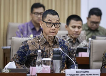 Direktur Utama PLN Darmawan Prasodjo