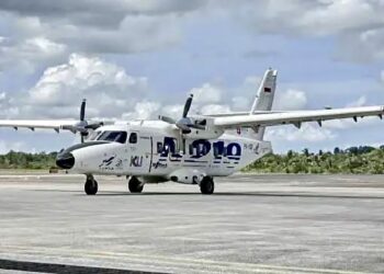 Pesawat N219