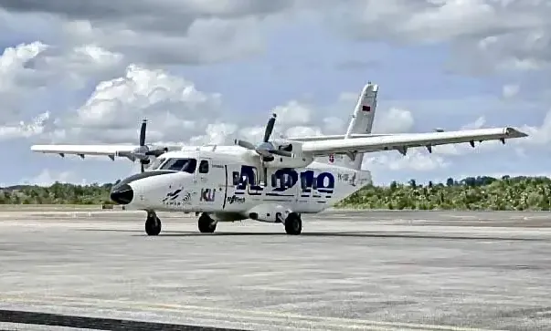 Pesawat N219