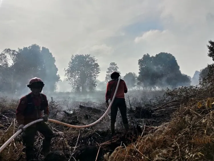Personel Manggala Agni Kementerian Kehutanan