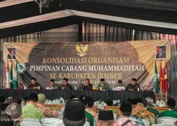 Minyak Mi-Kita